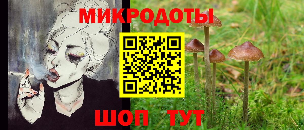 Псилоцибиновые грибы мицелий Курчалой