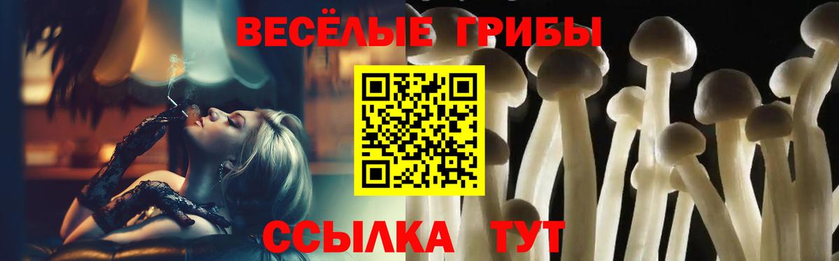 даркнет сайт  Вход с VPN  Курчалой  Галлюциногенные грибы GOLDEN TEACHER 